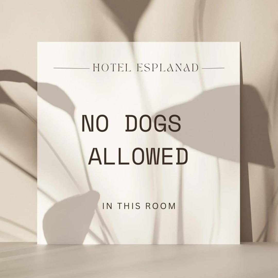 Hotell Esplanad Växjö الغرفة الصورة